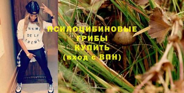 дурь Алексин