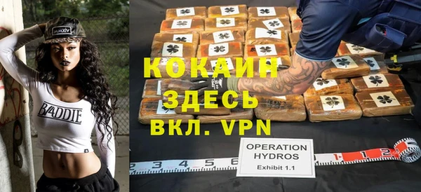 дурь Алексин